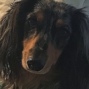 Meet your Posher, Trinity